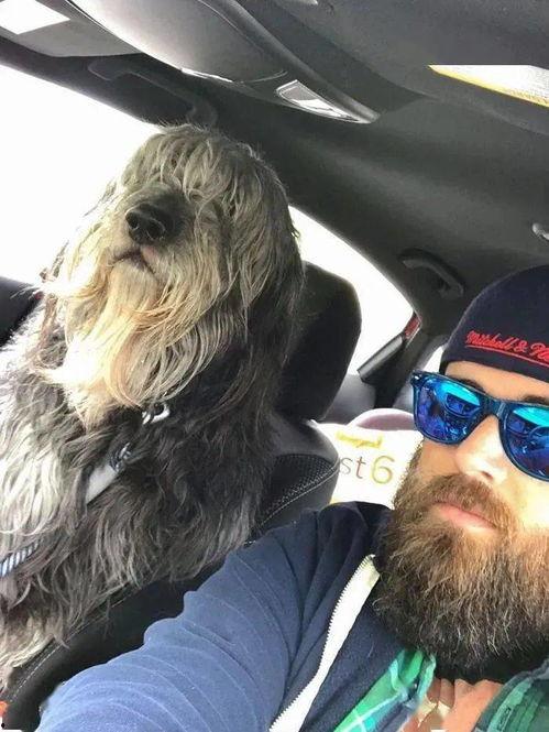 狼狗最新爆料网站,揭秘娱乐圈不为人知的秘密